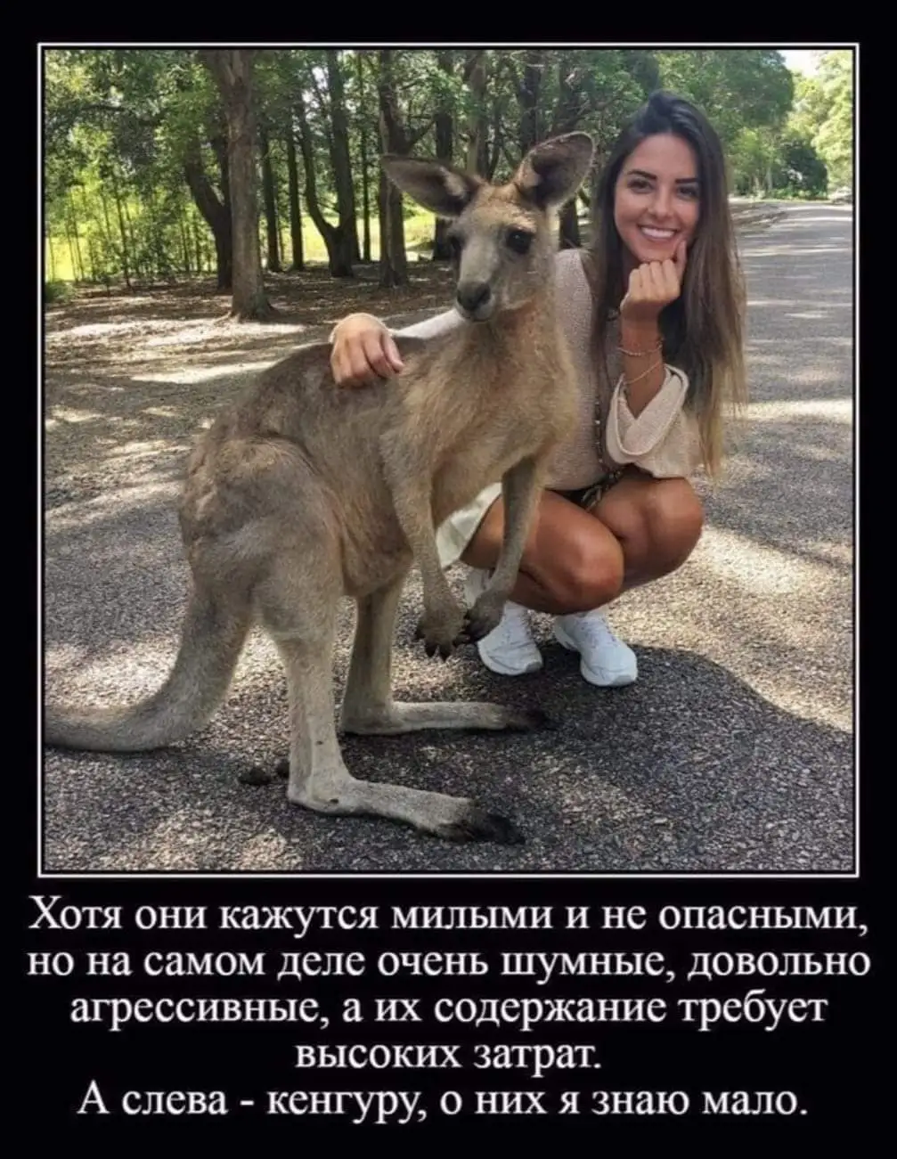 FB_IMG_1633869479057.webp