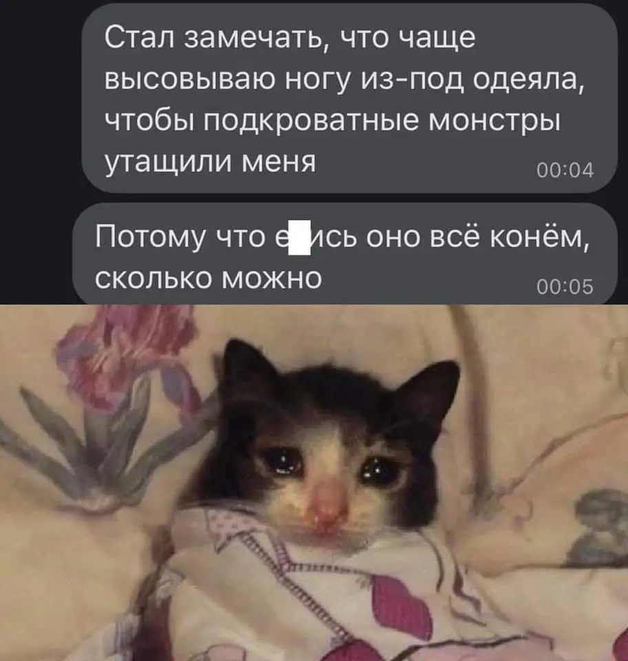 FB_IMG_1633871034603.jpg
