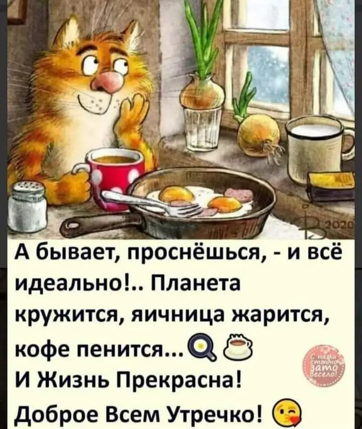 FB_IMG_1634189112782.webp