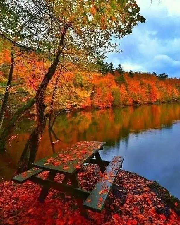 FB_IMG_1634192299891.webp