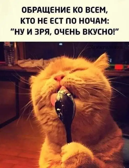 FB_IMG_1634209827377.webp