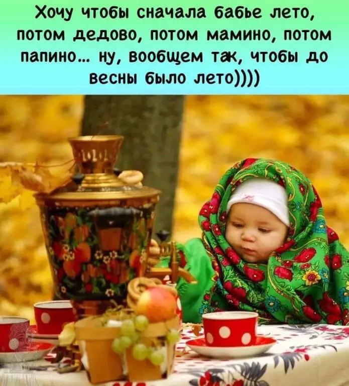 FB_IMG_1634281584259.webp