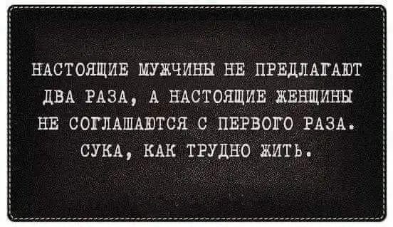 FB_IMG_1634285973003.webp