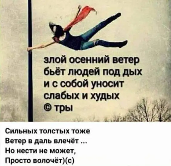 FB_IMG_1634286427919.webp