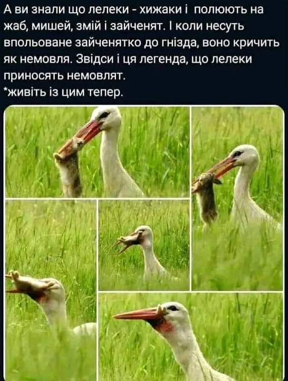 FB_IMG_1634297853500.jpg