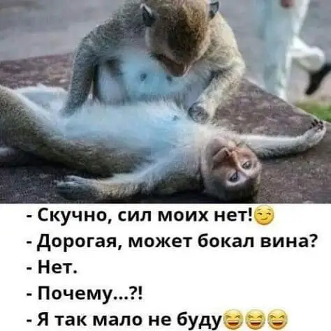FB_IMG_1634363644733.jpg