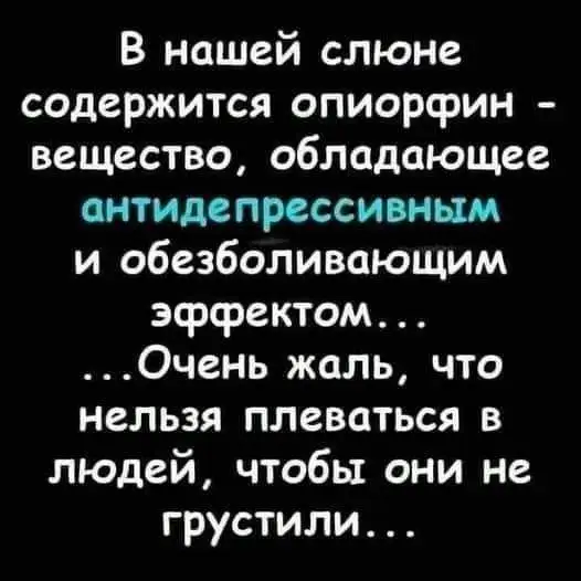FB_IMG_1634366062884.webp