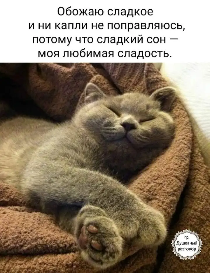 FB_IMG_1634370502222.webp