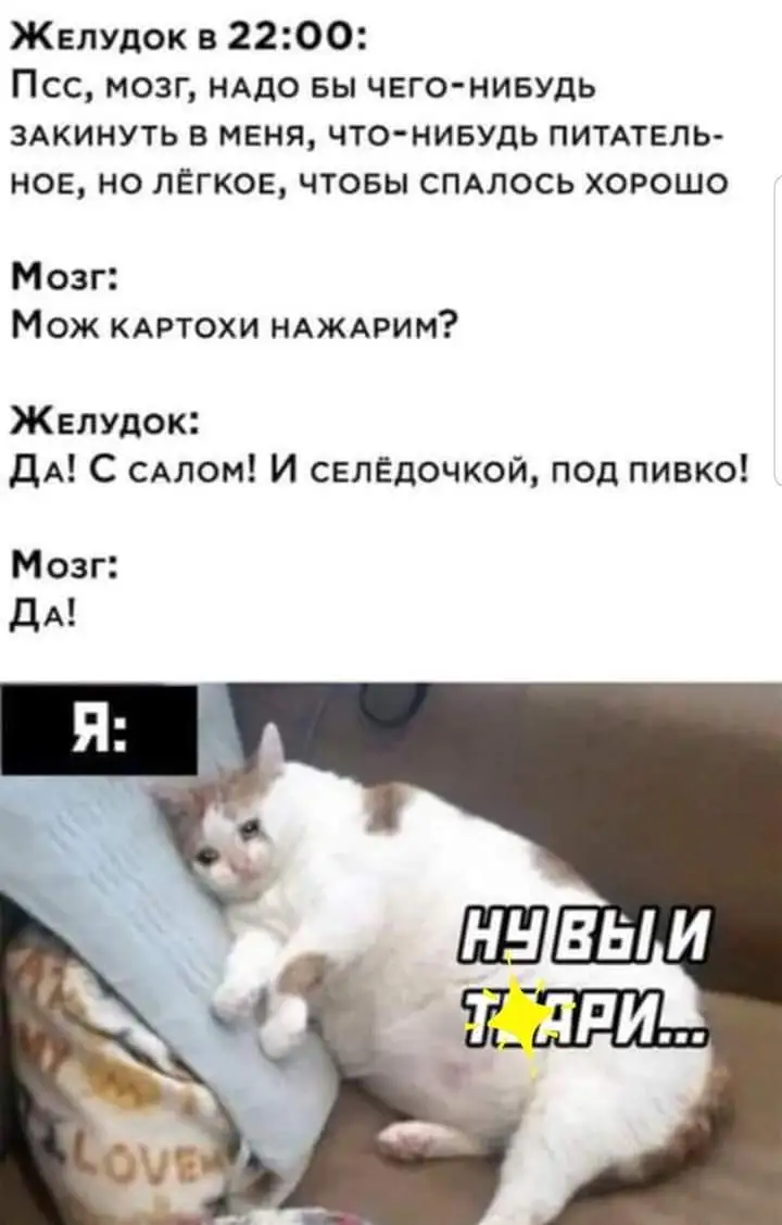 FB_IMG_1634371433467.webp