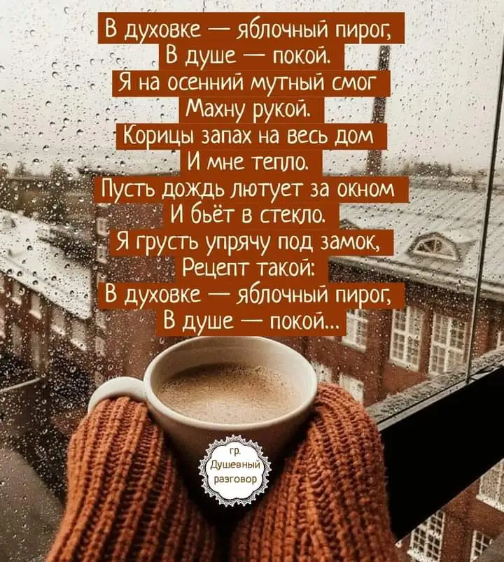 FB_IMG_1634373636622.jpg