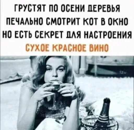 FB_IMG_1634379322891.webp