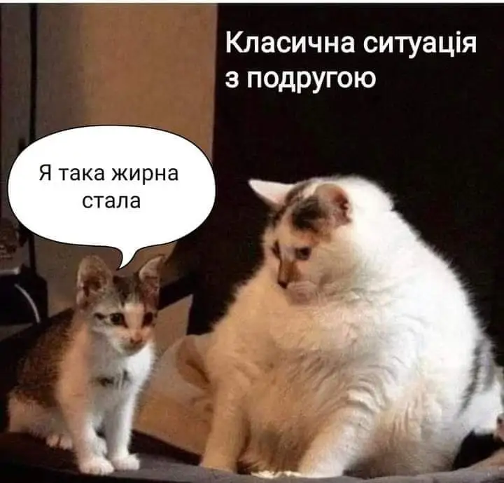 FB_IMG_1634412679420.webp