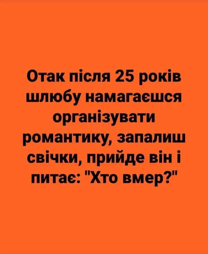 FB_IMG_1634452108728.webp