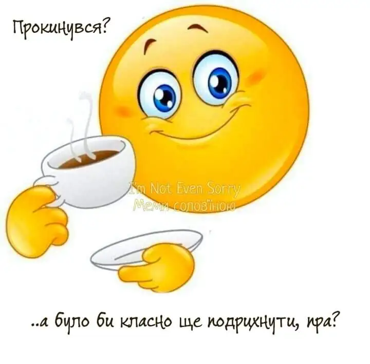 FB_IMG_1634537156351.webp