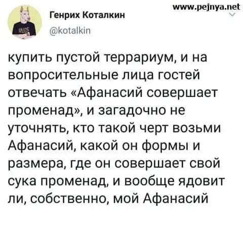 FB_IMG_1634571797619.webp