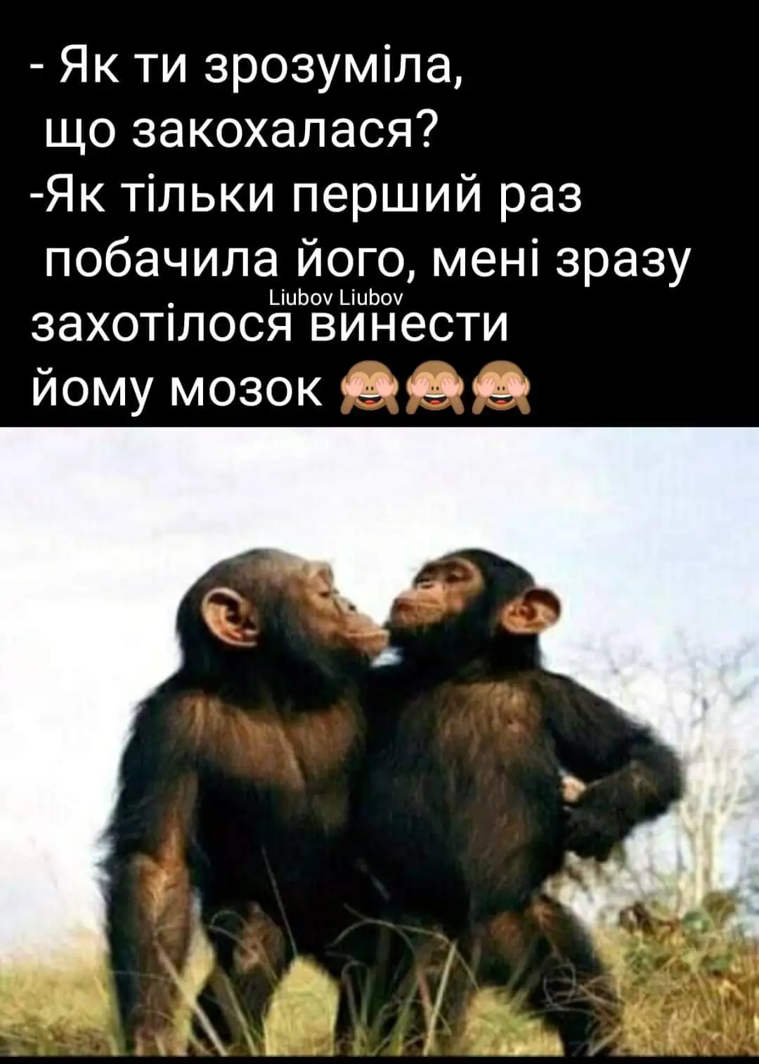 FB_IMG_1634582520919.webp