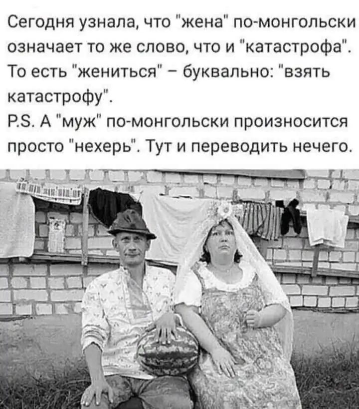 FB_IMG_1634647281011.webp