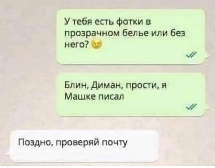 FB_IMG_1634669729672.webp