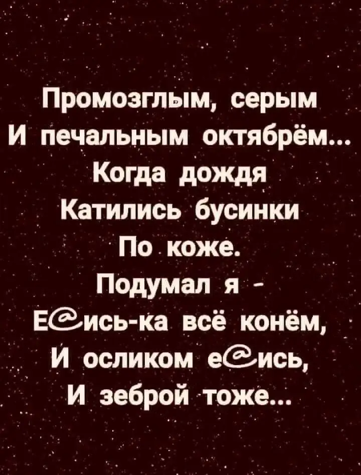FB_IMG_1634747457545.webp