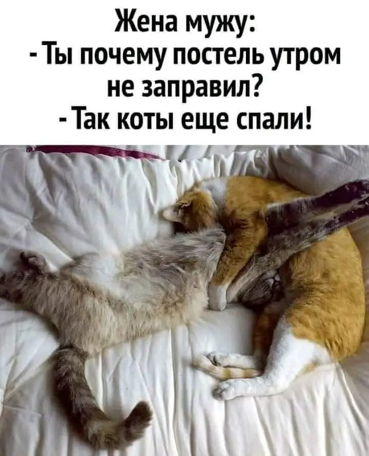 FB_IMG_1634824195161.webp