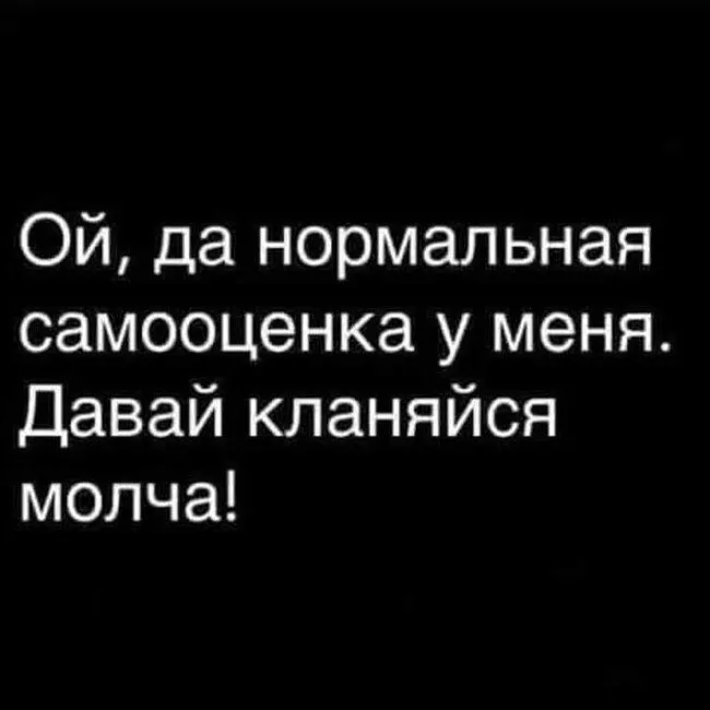 FB_IMG_1634848021280.webp