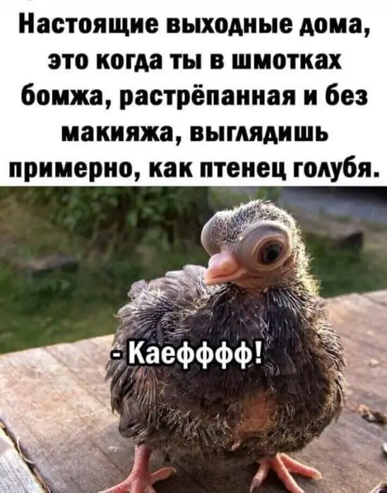 FB_IMG_1635078841826.jpg