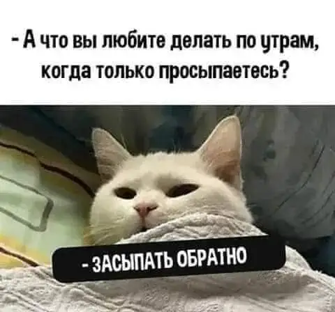 FB_IMG_1635098277130.webp