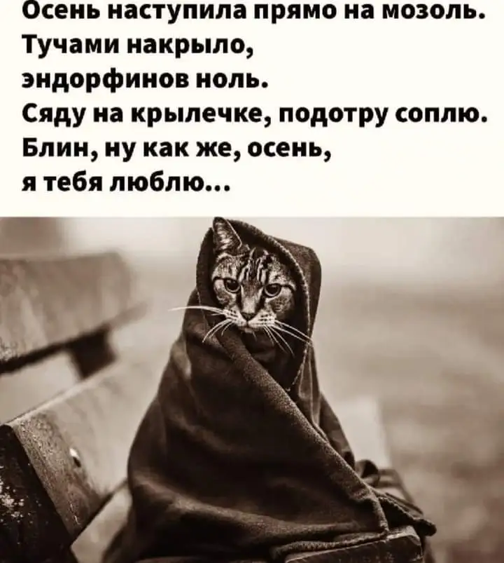 FB_IMG_1635150096361.webp