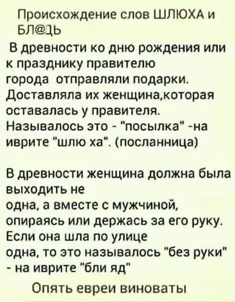 FB_IMG_1635153601484.webp