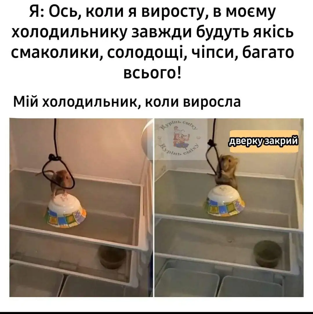 FB_IMG_1635184623070.webp
