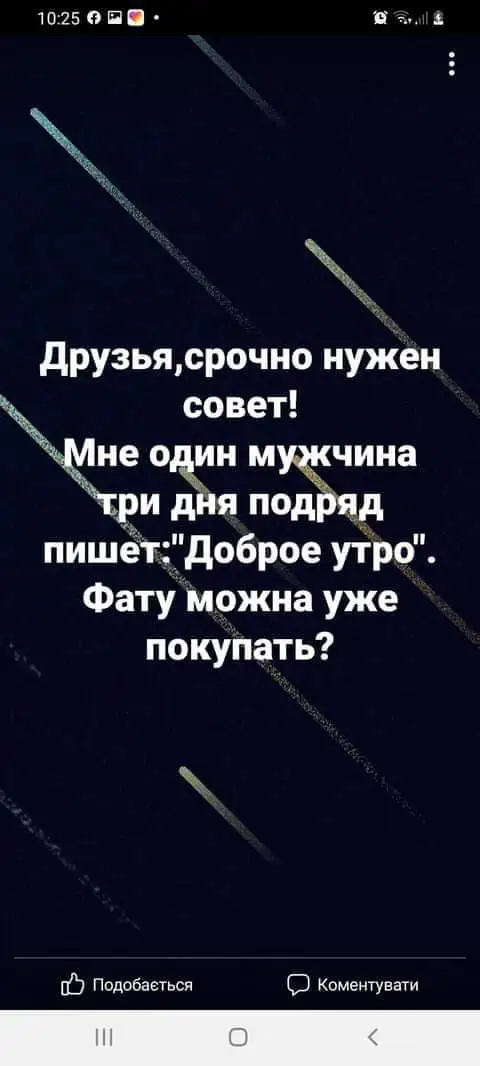 FB_IMG_1635271047516.webp