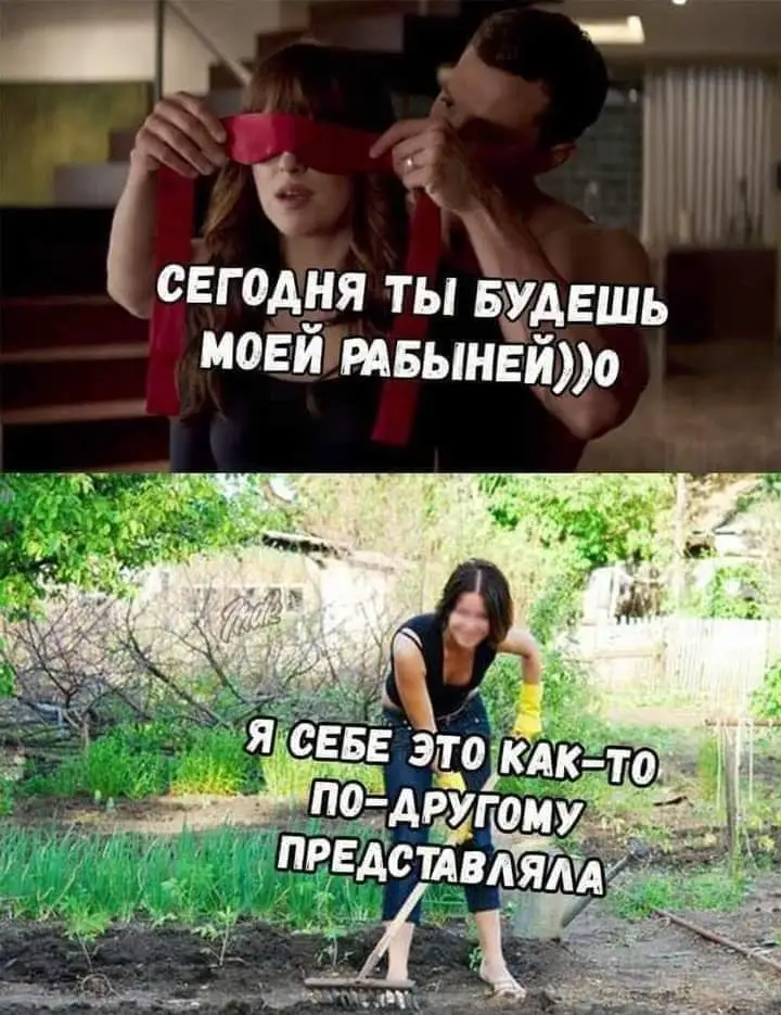 FB_IMG_1635426588859.webp
