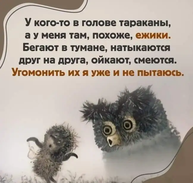 FB_IMG_1635493295743.webp