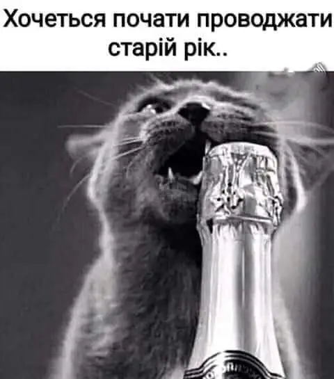 FB_IMG_1635509498678.webp