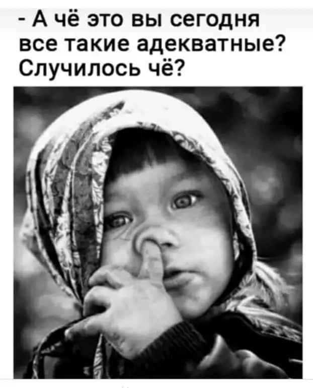 FB_IMG_1635583235652.webp