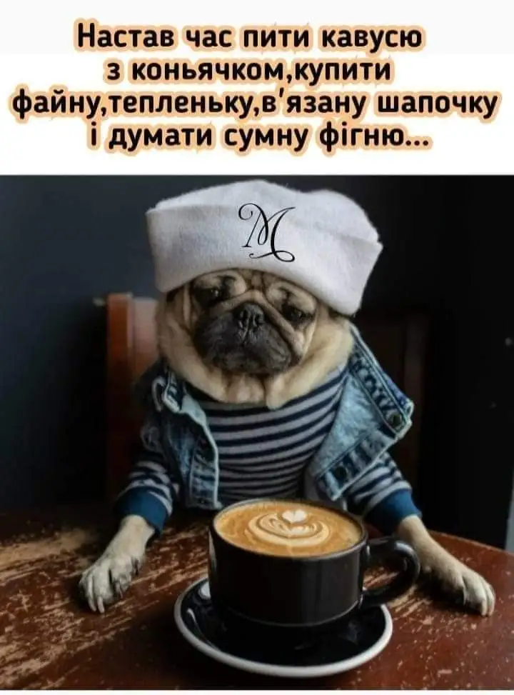 FB_IMG_1635583687910.webp