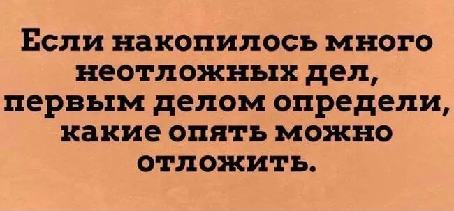 FB_IMG_1635600836493.webp