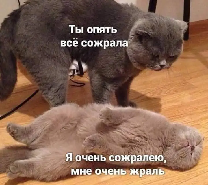 FB_IMG_1635666413515.webp
