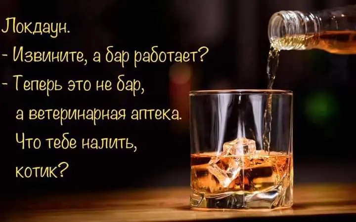 FB_IMG_1635711455575.webp