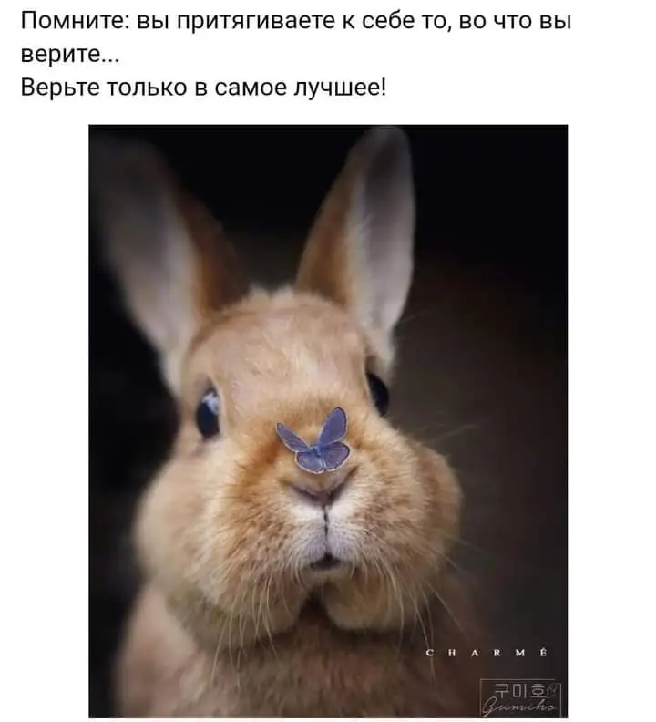 FB_IMG_1635713100975.jpg