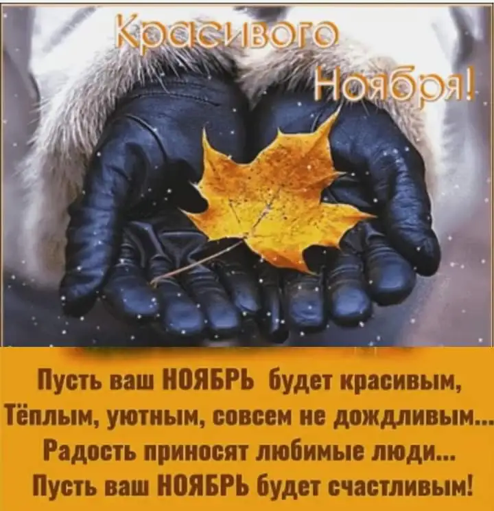 FB_IMG_1635765353976.webp
