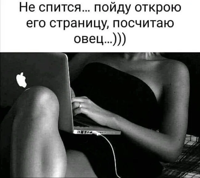 FB_IMG_1635776425797.webp