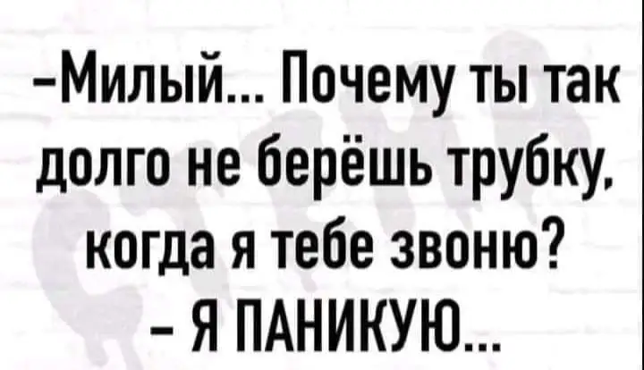 FB_IMG_1635794452531.webp