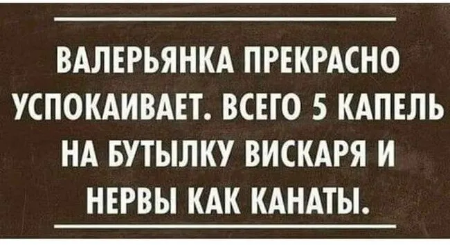 FB_IMG_1635874944473.webp
