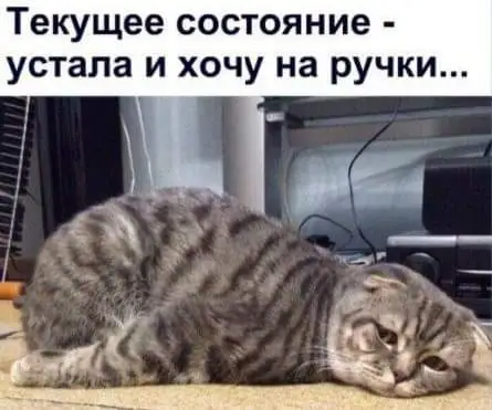 FB_IMG_1635886170121.webp