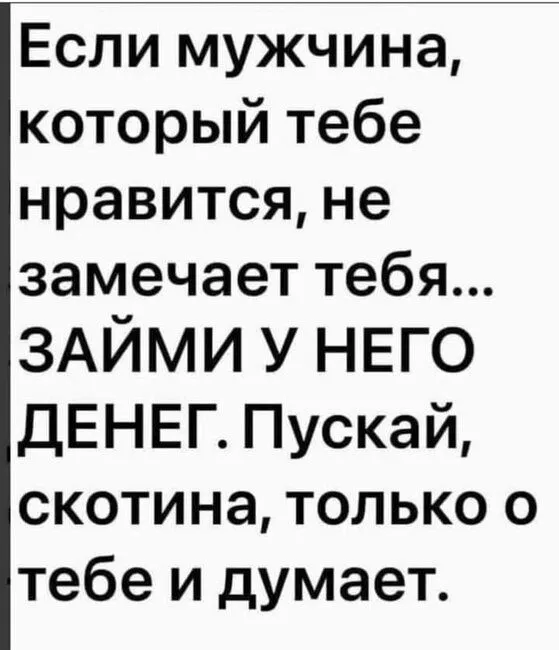 FB_IMG_1635962639996.webp
