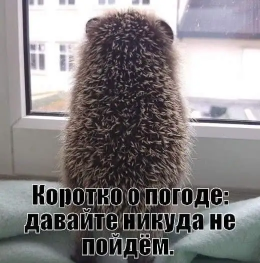 FB_IMG_1635971566862.webp