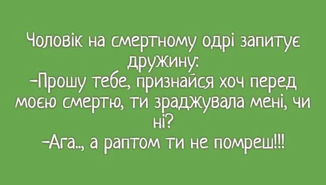 FB_IMG_1635972214313.webp