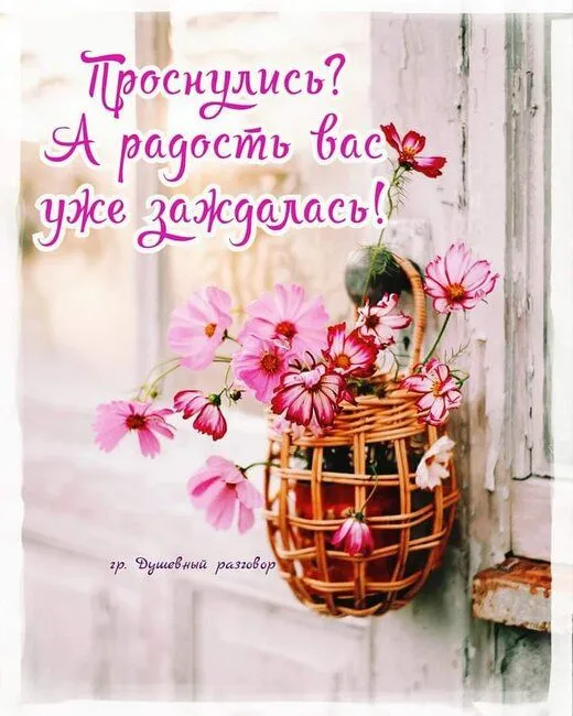FB_IMG_1636016668854.webp