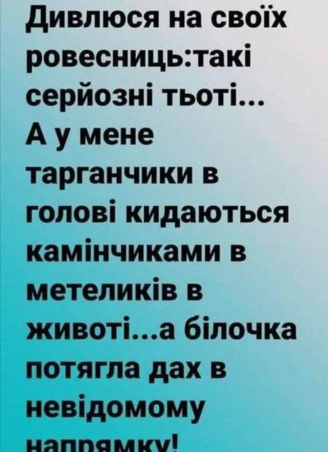 FB_IMG_1636026224256.webp